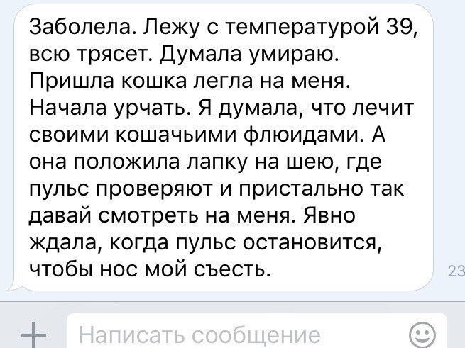 Когда тебе не везет