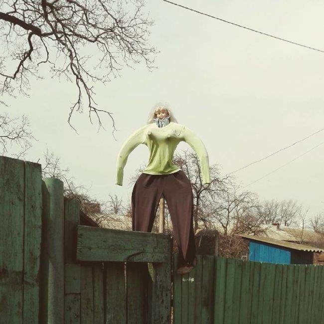Белорусский юмор