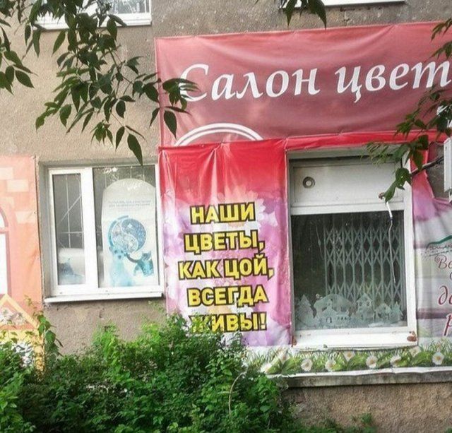 Забавные фото с наших просторов