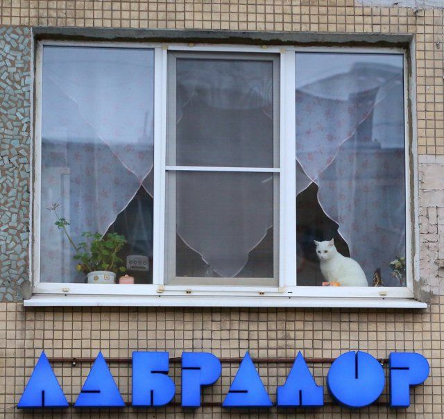 Забавные фото с наших просторов