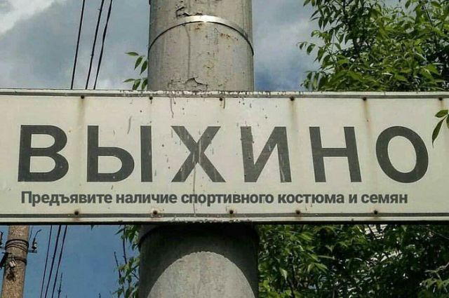 Прикольные картинки