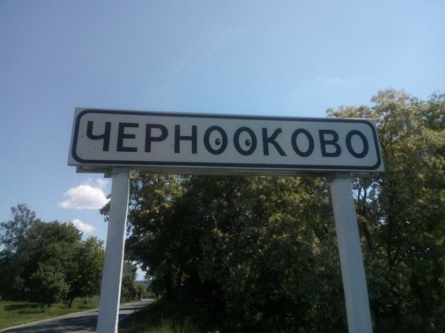 Прикольные картинки