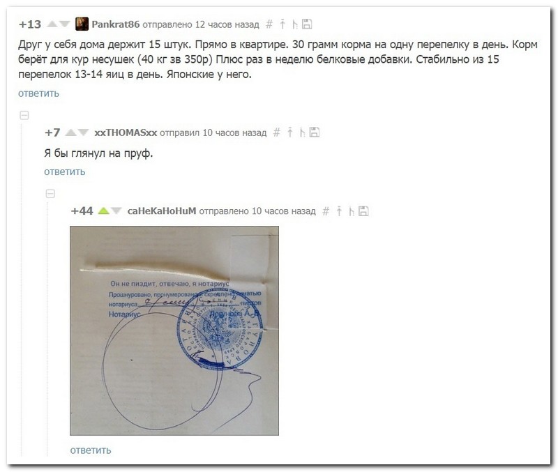 Забавные комментарии из социальных сетей