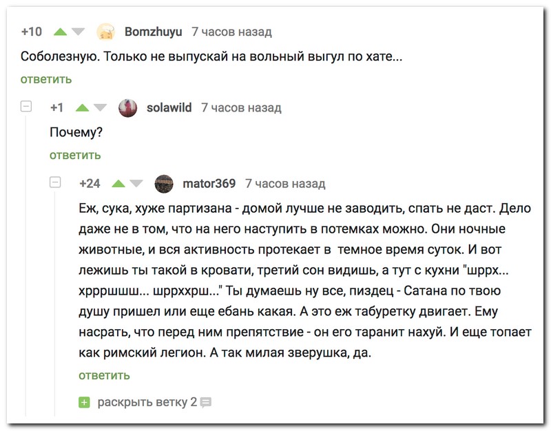 Забавные комментарии из социальных сетей