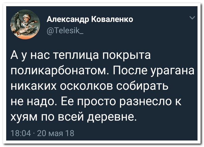 Забавные комментарии из социальных сетей