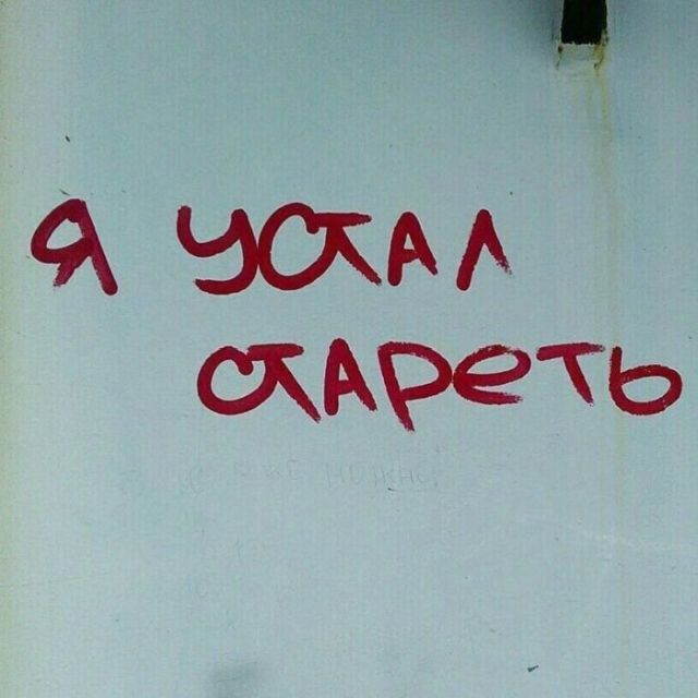 Высказывания уличных философов
