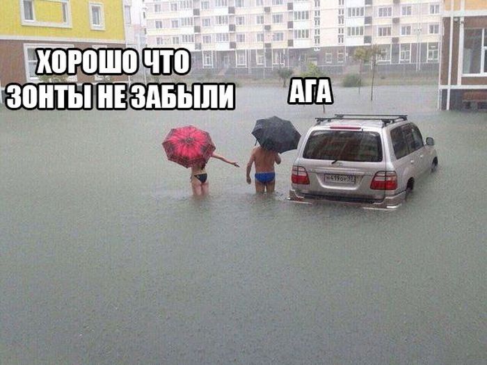Порция картинок