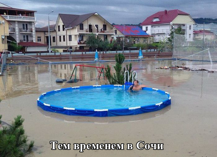 Порция картинок