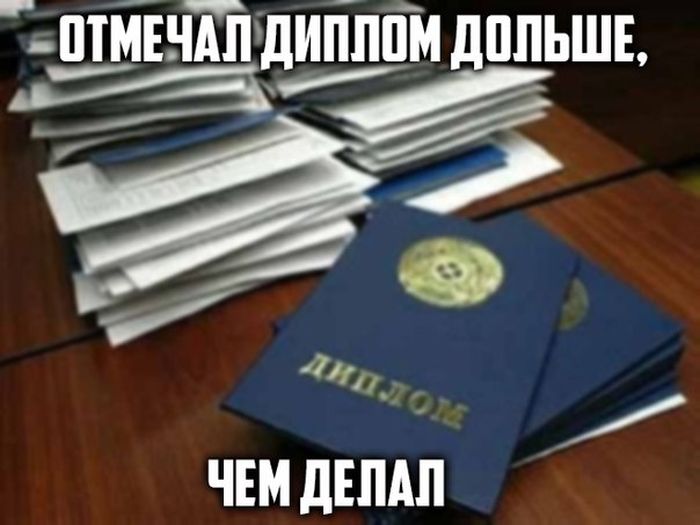 Порция картинок