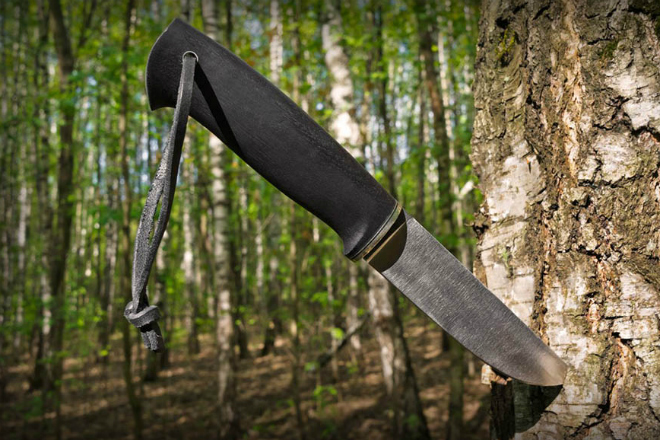 Правила выживания летом в лесу Правила выживания летом в лесу