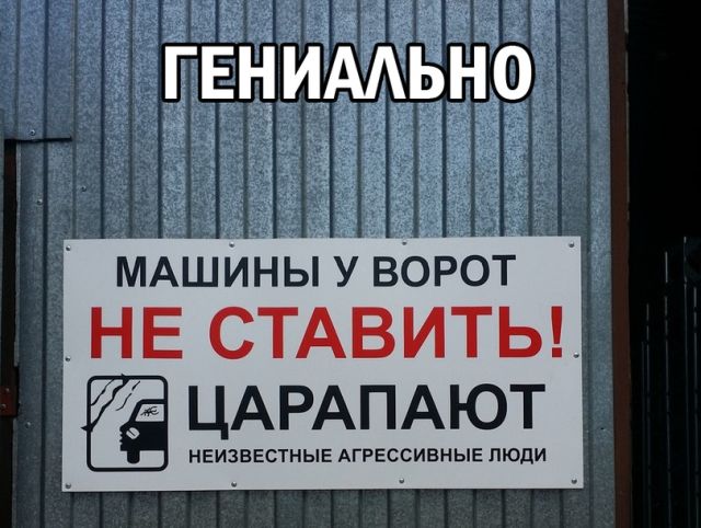 Прикольные картинки