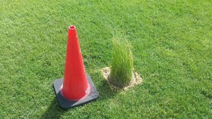 Снимки, на которые стоит посмотреть