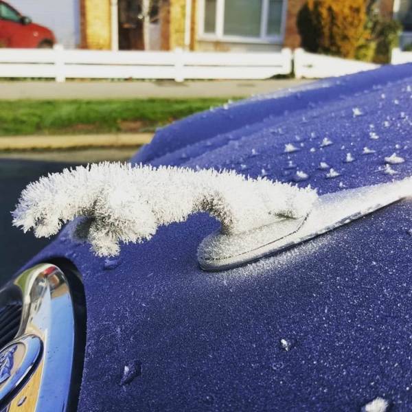 Снимки, на которые стоит посмотреть