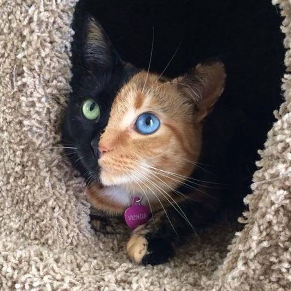 Снимки, на которые стоит посмотреть