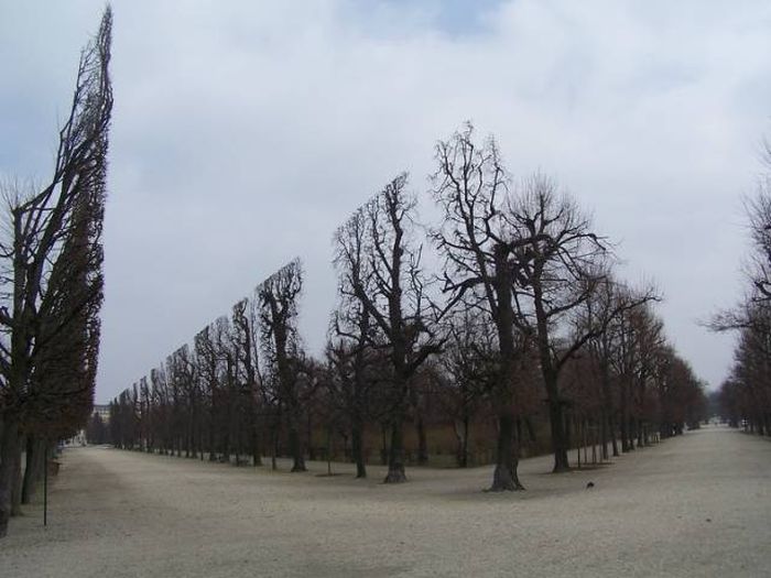 Снимки, на которые стоит посмотреть