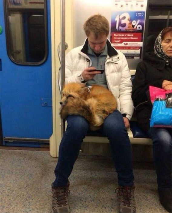Странности в метро