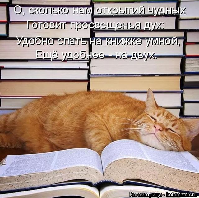 Лучшие котоматрицы недели