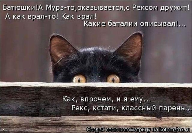 Лучшие котоматрицы недели