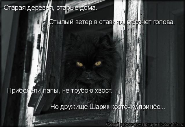 Лучшие котоматрицы недели