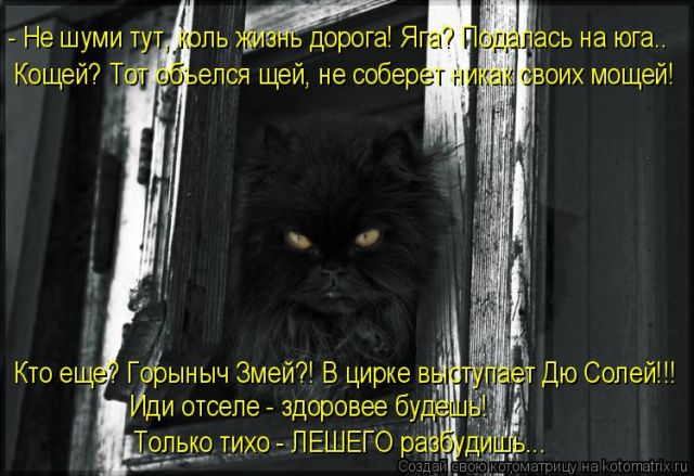 Лучшие котоматрицы недели