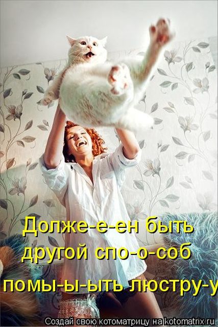 Лучшие котоматрицы недели
