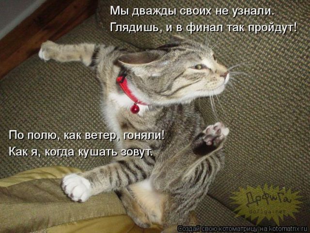 Лучшие котоматрицы недели