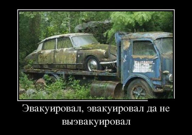 Демотиваторы