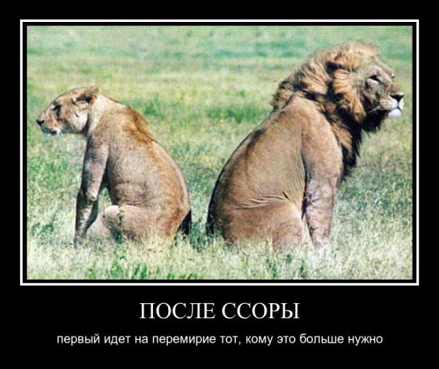 Демотиваторы