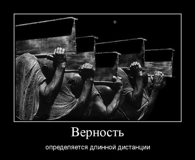 Демотиваторы