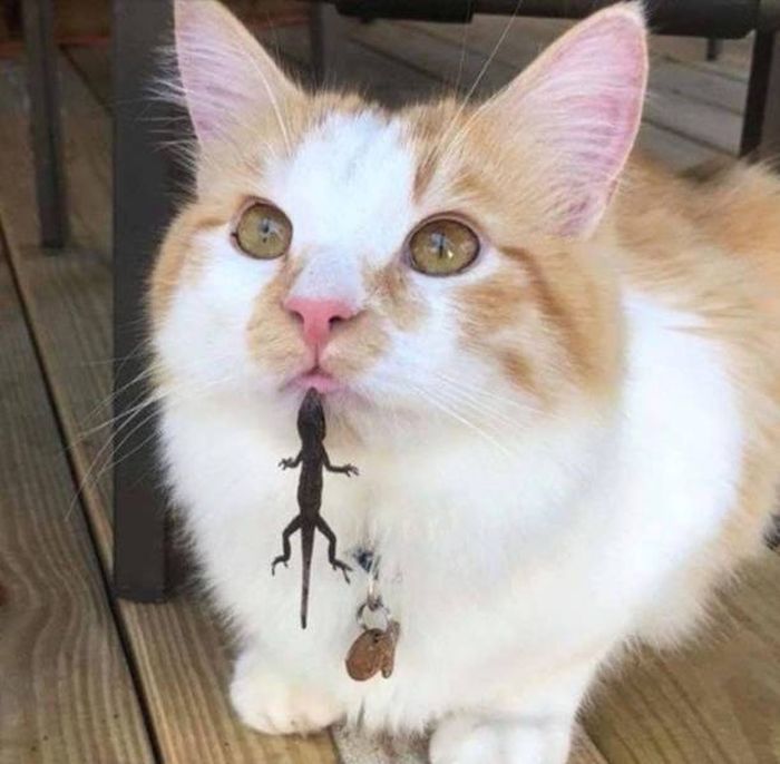 Фейлы и неудачи