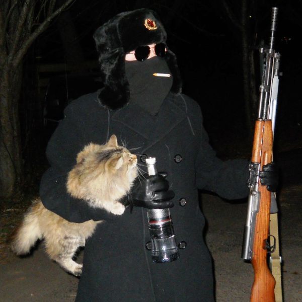 Прикольные картинки