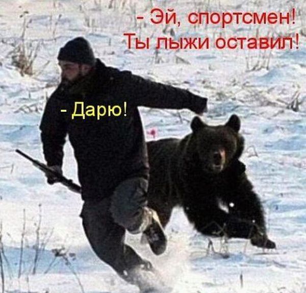 Порция картинок
