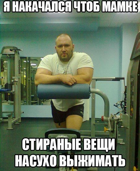Порция картинок