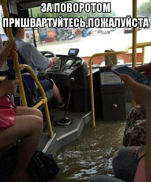 Порция картинок