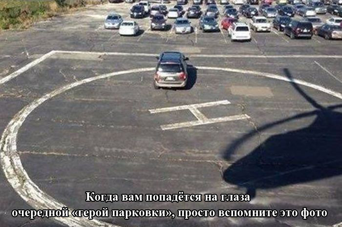 Порция картинок