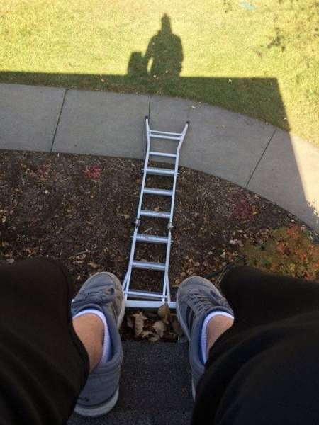 Порция картинок