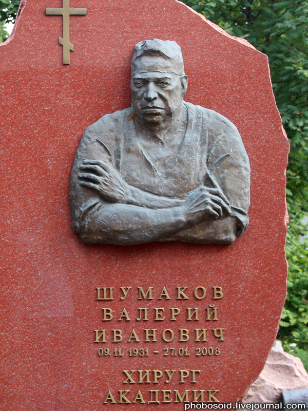 Новодевичье кладбище – Покой великих (55 фото)