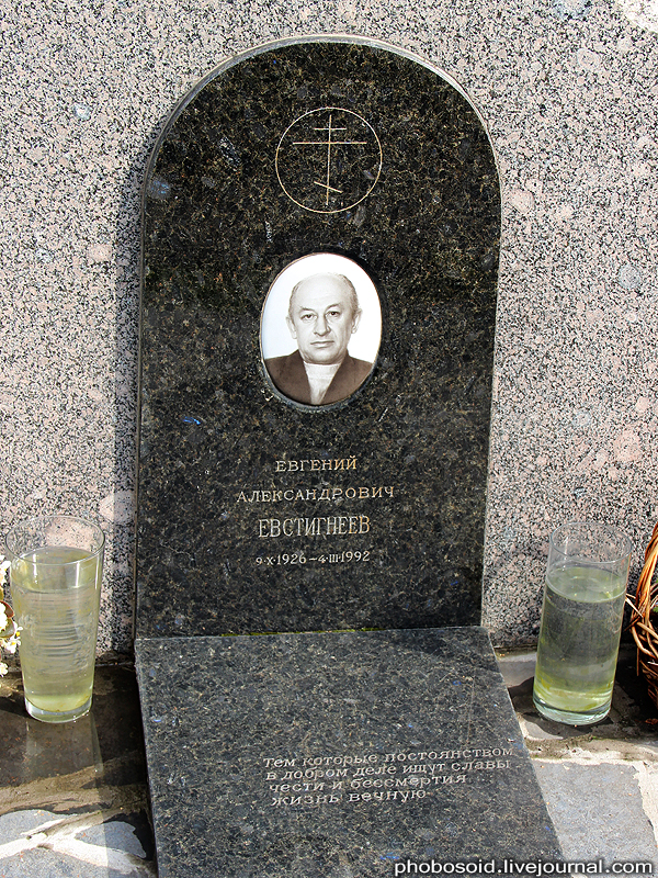 Новодевичье кладбище – Покой великих (55 фото)