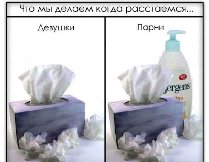 Прикольные картинки (43 фото)