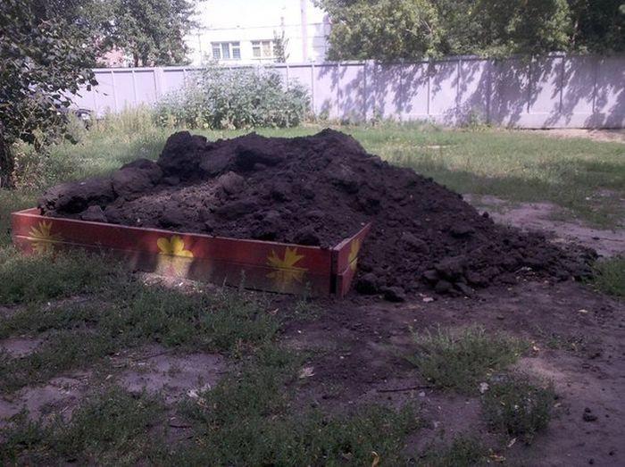 Прикольные картинки (43 фото)