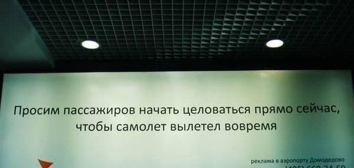 Прикольные картинки (43 фото)