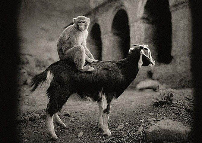 Чудесные черно-белые снимки от мастеров фотографии