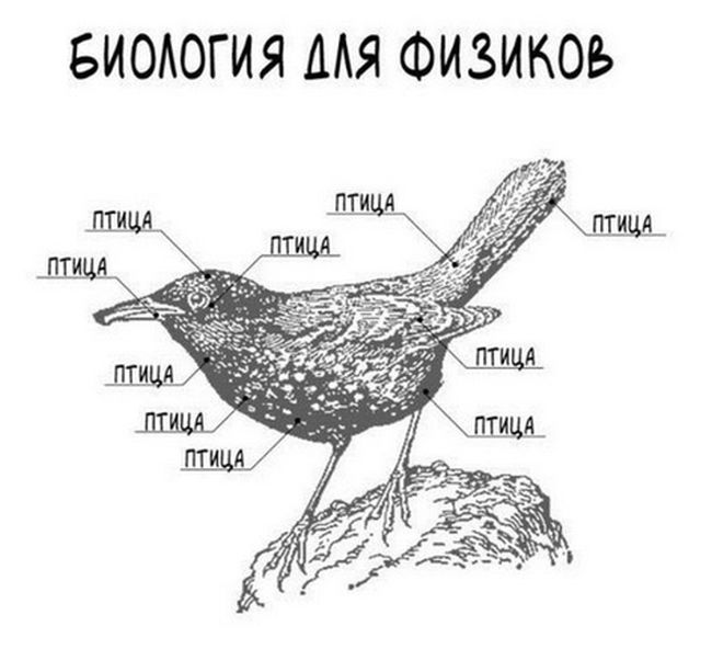 Смешные комиксы