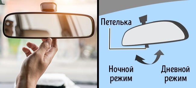 14 простейших фактов, в которые тем не менее сложно поверить