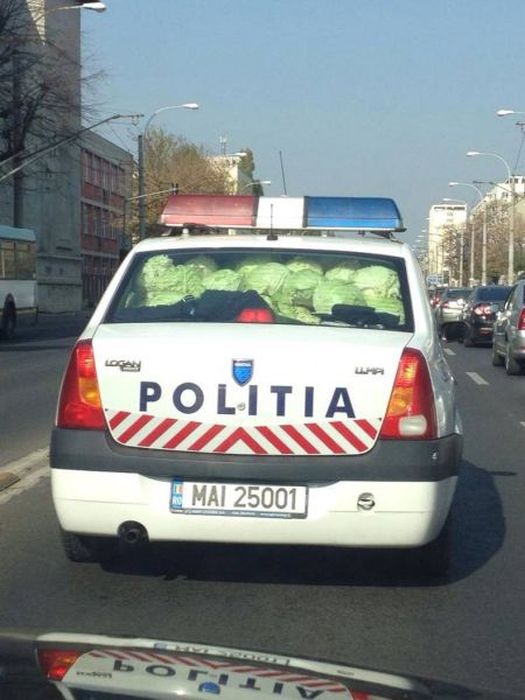 Приколы с полицейскими