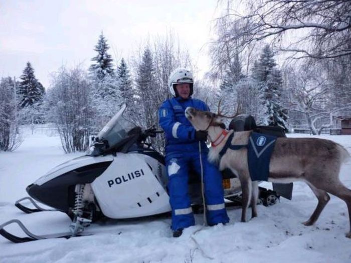Приколы с полицейскими