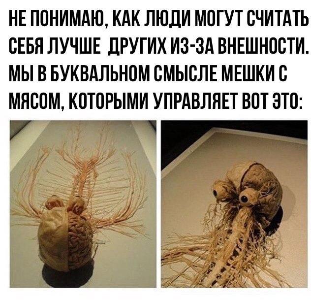 Люди гвоворят