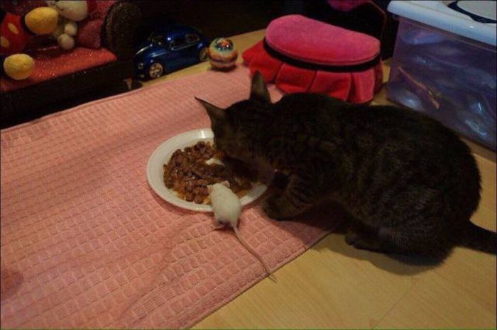 Прикольные картинки