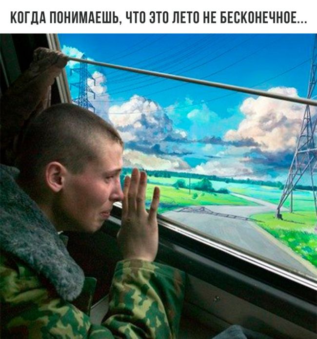 Прикольные картинки