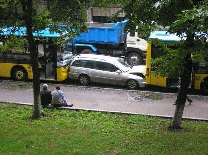 Прикольные картинки